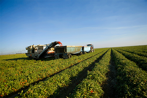 Quality Field Harvesting